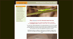 Desktop Screenshot of nwiassoc.com